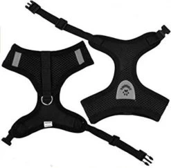 Merkloos Kattentuigje - Kattenharnas - Kattentuig Met Looplijn - Hondentuigje - Hondenharnas - Zwart - Maat L -Katten Hondenbenodigdheden Winkel 1200x1182 5