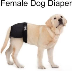 Loopsheidbroekje Hond - Zwart - Maat S - Hondenbroekje - Loopsheid Teef - Hondenluier - Wasbaar -Katten Hondenbenodigdheden Winkel 1200x1183 2