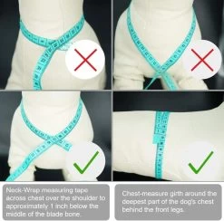 *** Katy`s Kattentuigje Zwart Maat M Met Looplijn - Kleine Hond - Kattenharnas - Honden Harnas - Kattenriem - Uitlaten - Van Heble® *** -Katten Hondenbenodigdheden Winkel 1200x1186 11