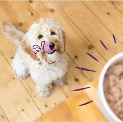 Merkloos Edgard & Cooper Hondenvoer Multipack Kip - Wild - Lam 6 X 100 Gr -Katten Hondenbenodigdheden Winkel 1200x1190 2