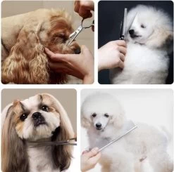 VoordeelShop 7-Delige Huisdier Knipset Met Etui - Trimmen Hond - Honden Schaar - Effileerschaar Hond - Huisdier Trimmer - Huisdier Knippen - Knipschaar Haar - Haar Schaar - Kapper - Kapperset - Scharenset -Katten Hondenbenodigdheden Winkel 1200x1190