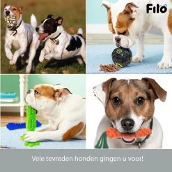Filo Honden Speelgoed Set 14 Stuks - Hondenspeeltjes Knuffel - Hondenbal - Flostouw - Bot - Frisbee - Hondentouw - Hondenspeelgoed Intelligentie - Kauwspeelgoed Hond En Puppy - Bijtspeelgoed Hondenknuffel - Hondenspeeltje Met Piep -Katten Hondenbenodigdheden Winkel 1200x1197 1