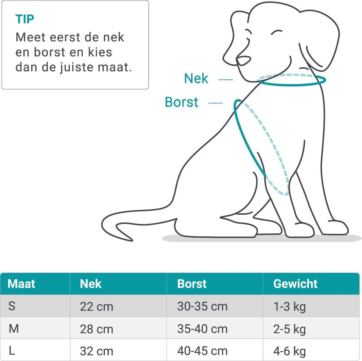 Hondentuig, Hondenharnas Met Hondenriem – Reflecterend - Zwart – Maat S (borst 30-35 Cm) 5 Hondentuig, Hondenharnas Met Hondenriem – Reflecterend - Zwart – Maat S (borst 30-35 Cm) - Afbeelding 3