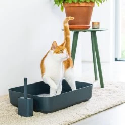 Hoopo® Poh Kattenbak Grijs - Open Kattenbak - Design Kattenbak - Kattenbakschep - 50x37.5x12.7 Cm - Grote Kattenbak -Katten Hondenbenodigdheden Winkel 1200x1200 1023