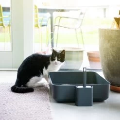 Hoopo® Poh Kattenbak Grijs - Open Kattenbak - Design Kattenbak - Kattenbakschep - 50x37.5x12.7 Cm - Grote Kattenbak -Katten Hondenbenodigdheden Winkel 1200x1200 1024