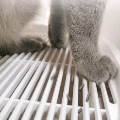 YA Products Kattenbak Space Series - Grote Kattenbak - Kattenbak Met Lade Inclusief Schep -Katten Hondenbenodigdheden Winkel 1200x1200 1033