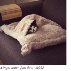 Happy Pet Hugs Snuggle Kattenslaapzak - Grijs - 50 X 50 Cm -Katten Hondenbenodigdheden Winkel 1200x1200 1089