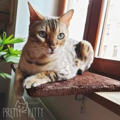 PRETTY KITTY Cat Window Bed 32x41cm: Knuffelig Kattenbed Voor De Vensterbank, Premium Kattenbed Fluffy Voor Het Raam, Vensterbank Kat - Wasbaar, Vensterbank Kat -Katten Hondenbenodigdheden Winkel 1200x1200 1112