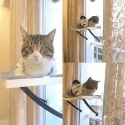 Hobipets - Kattenmand Raam - 5 Zuignappen - Hangmat Kat Raam 9 Hobipets - Kattenmand Raam - 5 Zuignappen - Hangmat Kat Raam -Katten Hondenbenodigdheden Winkel 1200x1200 1115