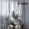 Bonbox Shop - Macrame Hangmat Voor Katten En Kittens - Kattenhammock - Hangmand -Katten Hondenbenodigdheden Winkel 1200x1200 1166