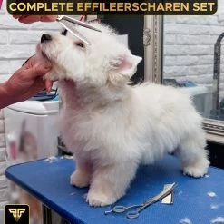 Toivo Schaar Voor Dieren - Zilver - Effileerscharen - Honden Scharenset - Dierenschaar - Set 5 Stuks - Trimscharen - Trimset - Uitdunschaar Hond - Schaar Honden 13 Toivo Schaar Voor Dieren - Zilver - Effileerscharen - Honden Scharenset - Dierenschaar - Set 5 Stuks - Trimscharen - Trimset - Uitdunschaar Hond - Schaar Honden -Katten Hondenbenodigdheden Winkel 1200x1200 127