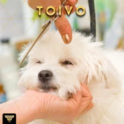 Toivo Schaar Voor Dieren - Zilver - Effileerscharen - Honden Scharenset - Dierenschaar - Set 5 Stuks - Trimscharen - Trimset - Uitdunschaar Hond - Schaar Honden 18 Toivo Schaar Voor Dieren - Zilver - Effileerscharen - Honden Scharenset - Dierenschaar - Set 5 Stuks - Trimscharen - Trimset - Uitdunschaar Hond - Schaar Honden -Katten Hondenbenodigdheden Winkel 1200x1200 132