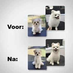 VoordeelShop 7-Delige Huisdier Knipset Met Etui - Trimmen Hond - Honden Schaar - Effileerschaar Hond - Huisdier Trimmer - Huisdier Knippen - Knipschaar Haar - Haar Schaar - Kapper - Kapperset - Scharenset -Katten Hondenbenodigdheden Winkel 1200x1200 15