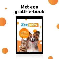 ACE Pets Ergonomische Voerbak Kat - Kattenvoerbakjes - Drinkbak Kat - Kat Voerbak 24 ACE Pets Ergonomische Voerbak Kat - Kattenvoerbakjes - Drinkbak Kat - Kat Voerbak -Katten Hondenbenodigdheden Winkel 1200x1200 151