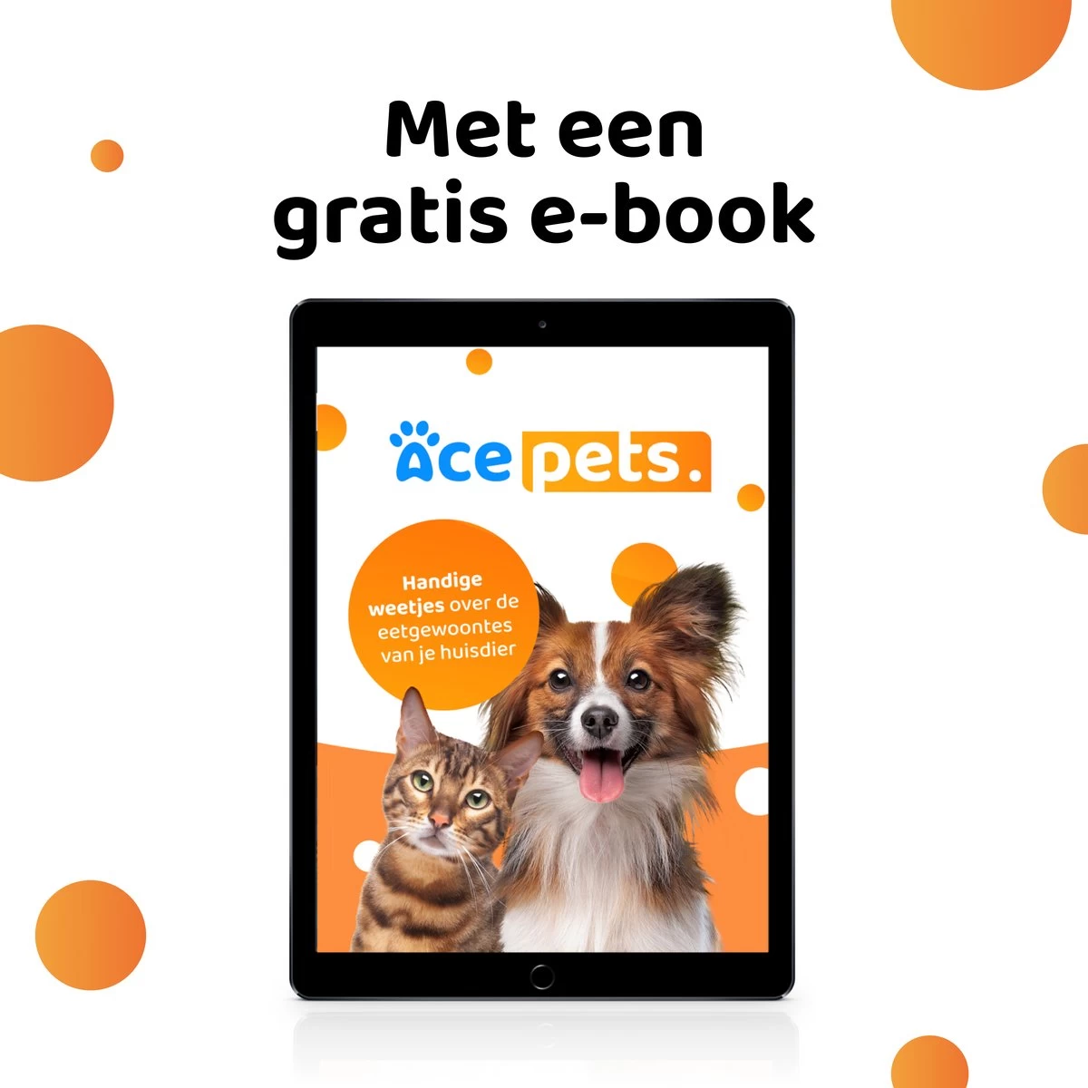 ACE Pets Ergonomische Voerbak Kat - Kattenvoerbakjes - Drinkbak Kat - Kat Voerbak 13 ACE Pets Ergonomische Voerbak Kat - Kattenvoerbakjes - Drinkbak Kat - Kat Voerbak - Afbeelding 11