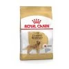 Royal Canin Golden Retriever 12 KG -Katten Hondenbenodigdheden Winkel 1200x1200 153