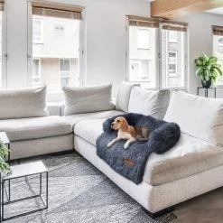 Origineel Hondendeken Voor Bank– Hondenkleed Fluffy – Pluche Hondenbed - Hondenmand Premium - Volledig Afritsbaar 17 Origineel Hondendeken Voor Bank– Hondenkleed Fluffy – Pluche Hondenbed - Hondenmand Premium - Volledig Afritsbaar -Katten Hondenbenodigdheden Winkel 1200x1200 156