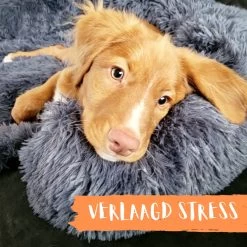 Origineel Hondendeken Voor Bank– Hondenkleed Fluffy – Pluche Hondenbed - Hondenmand Premium - Volledig Afritsbaar 26 Origineel Hondendeken Voor Bank– Hondenkleed Fluffy – Pluche Hondenbed - Hondenmand Premium - Volledig Afritsbaar -Katten Hondenbenodigdheden Winkel 1200x1200 164