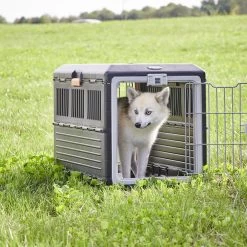 Merkloos Iris Ohyama Inklapbare Reismand Huisdieren FC-670 - Kunststof - Zwart/Oranje -Katten Hondenbenodigdheden Winkel 1200x1200 175