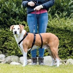 Trixie Stay Hondentuig Zwart Maat - S/M -Katten Hondenbenodigdheden Winkel 1200x1200 217