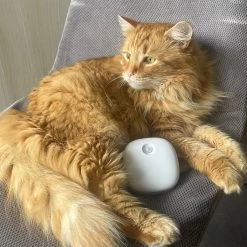 Pettadore Air Insight - Kattenbak Geurverdrijver & Teller - Actieve Zuurstof En Ionen - Oplaadbaar - Met App -Katten Hondenbenodigdheden Winkel 1200x1200 236