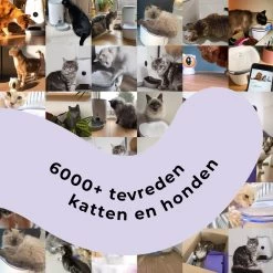 Pettadore Air Insight - Kattenbak Geurverdrijver & Teller - Actieve Zuurstof En Ionen - Oplaadbaar - Met App -Katten Hondenbenodigdheden Winkel 1200x1200 237