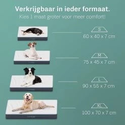 CozySense® - Orthopedisch Hondenkussen - Hondenkussen 90 X 55 Cm - Ook Geschikt Als Benchkussen & Hondenbed - Hondenkussen Bank - Traagschuim - Waterdicht - Wasbare Hoes - Maat L 11 CozySense® - Orthopedisch Hondenkussen - Hondenkussen 90 X 55 Cm - Ook Geschikt Als Benchkussen & Hondenbed - Hondenkussen Bank - Traagschuim - Waterdicht - Wasbare Hoes - Maat L -Katten Hondenbenodigdheden Winkel 1200x1200 300