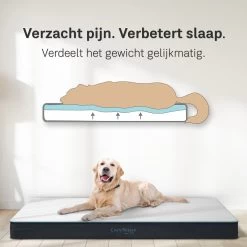 CozySense® - Orthopedisch Hondenkussen - Hondenkussen 90 X 55 Cm - Ook Geschikt Als Benchkussen & Hondenbed - Hondenkussen Bank - Traagschuim - Waterdicht - Wasbare Hoes - Maat L 12 CozySense® - Orthopedisch Hondenkussen - Hondenkussen 90 X 55 Cm - Ook Geschikt Als Benchkussen & Hondenbed - Hondenkussen Bank - Traagschuim - Waterdicht - Wasbare Hoes - Maat L -Katten Hondenbenodigdheden Winkel 1200x1200 301
