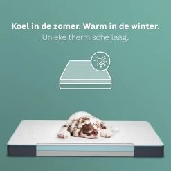 CozySense® - Orthopedisch Hondenkussen - Hondenkussen 90 X 55 Cm - Ook Geschikt Als Benchkussen & Hondenbed - Hondenkussen Bank - Traagschuim - Waterdicht - Wasbare Hoes - Maat L 13 CozySense® - Orthopedisch Hondenkussen - Hondenkussen 90 X 55 Cm - Ook Geschikt Als Benchkussen & Hondenbed - Hondenkussen Bank - Traagschuim - Waterdicht - Wasbare Hoes - Maat L -Katten Hondenbenodigdheden Winkel 1200x1200 302