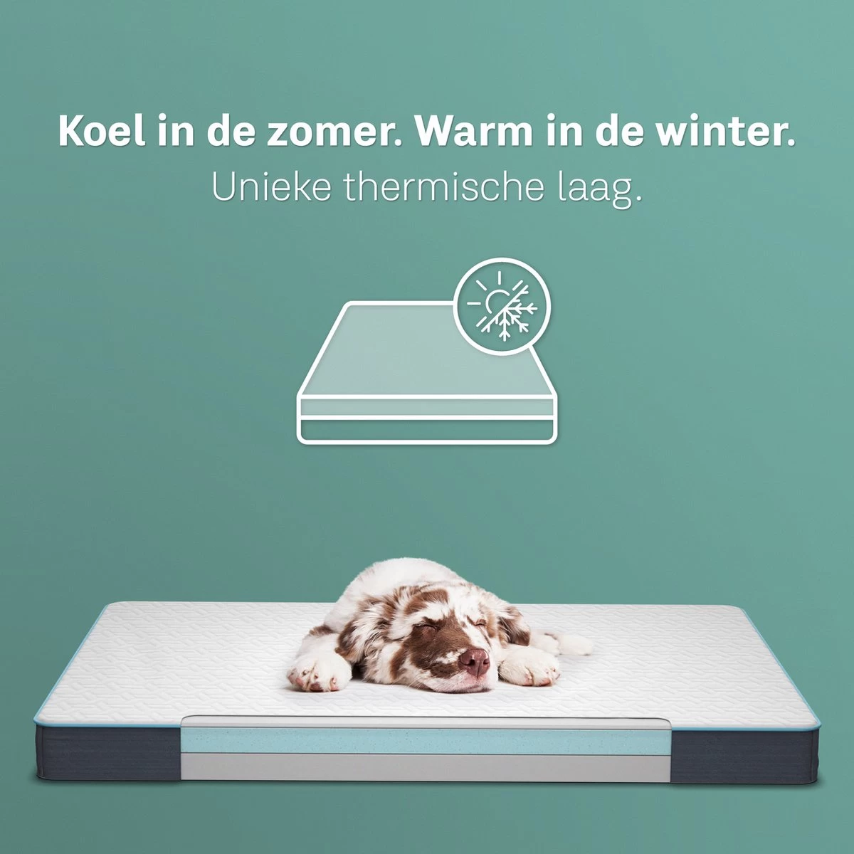 CozySense® - Orthopedisch Hondenkussen - Hondenkussen 90 X 55 Cm - Ook Geschikt Als Benchkussen & Hondenbed - Hondenkussen Bank - Traagschuim - Waterdicht - Wasbare Hoes - Maat L 6 CozySense® - Orthopedisch Hondenkussen - Hondenkussen 90 X 55 Cm - Ook Geschikt Als Benchkussen & Hondenbed - Hondenkussen Bank - Traagschuim - Waterdicht - Wasbare Hoes - Maat L - Afbeelding 4