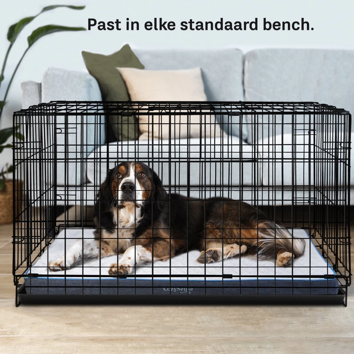 CozySense® - Orthopedisch Hondenkussen - Hondenkussen 90 X 55 Cm - Ook Geschikt Als Benchkussen & Hondenbed - Hondenkussen Bank - Traagschuim - Waterdicht - Wasbare Hoes - Maat L 7 CozySense® - Orthopedisch Hondenkussen - Hondenkussen 90 X 55 Cm - Ook Geschikt Als Benchkussen & Hondenbed - Hondenkussen Bank - Traagschuim - Waterdicht - Wasbare Hoes - Maat L - Afbeelding 5