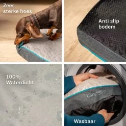 CozySense® - Orthopedisch Hondenkussen - Hondenkussen 90 X 55 Cm - Ook Geschikt Als Benchkussen & Hondenbed - Hondenkussen Bank - Traagschuim - Waterdicht - Wasbare Hoes - Maat L 16 CozySense® - Orthopedisch Hondenkussen - Hondenkussen 90 X 55 Cm - Ook Geschikt Als Benchkussen & Hondenbed - Hondenkussen Bank - Traagschuim - Waterdicht - Wasbare Hoes - Maat L -Katten Hondenbenodigdheden Winkel 1200x1200 305