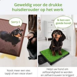 AWEMOZ Hondentoilet Kunstgras - Met 2 Matten En Opvangbak - 64x52x7,5cm - Puppy Pads - Zindelijkheidstraining Hond - Training Pads - Indoor / Outdoor Honden Toilet -Katten Hondenbenodigdheden Winkel 1200x1200 326