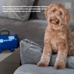 Nuvoo Professionele Hondenföhn / Waterblazer / Hondenborstel Met 3 Opzetstukken - Verstelbare Vermogen Tot 2200W - Warme / Koude Stand - Blauw -Katten Hondenbenodigdheden Winkel 1200x1200 352