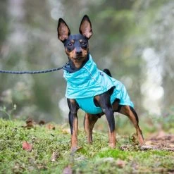 Rukka Pets Hase Raincoat - Lichtgewicht Hondenregenjas - In 2 Kleuren En 9 Maten - Kleur: Roze, Maat: Maat 40 -Katten Hondenbenodigdheden Winkel 1200x1200 382