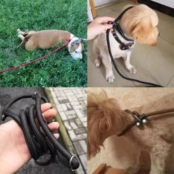 LOUZIR Cesar Millan Sliplijn Met Stop - Hondenriem - Rood - 130 Cm -Katten Hondenbenodigdheden Winkel 1200x1200 388