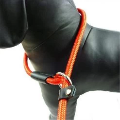 LOUZIR Cesar Millan Sliplijn Met Stop - Hondenriem - Rood - 130 Cm -Katten Hondenbenodigdheden Winkel 1200x1200 389