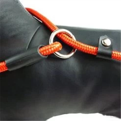 LOUZIR Cesar Millan Sliplijn Met Stop - Hondenriem - Rood - 130 Cm -Katten Hondenbenodigdheden Winkel 1200x1200 392