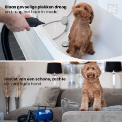 Nuvoo Professionele Hondenföhn / Waterblazer / Hondenborstel Met 3 Opzetstukken - Verstelbare Vermogen Tot 2200W - Warme / Koude Stand - Rood -Katten Hondenbenodigdheden Winkel 1200x1200 401