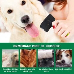 Mister Mill Professionele Set Slicker Honden Kattenborstel Plus Nagelknipper Plus Ondervacht Kam -Katten Hondenbenodigdheden Winkel 1200x1200 410