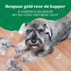 Mister Mill Professionele Set Slicker Honden Kattenborstel Plus Nagelknipper Plus Ondervacht Kam -Katten Hondenbenodigdheden Winkel 1200x1200 412