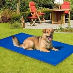 Koeling Mat Voor Huisdieren - 60 X 80 Cm -Katten Hondenbenodigdheden Winkel 1200x1200 48