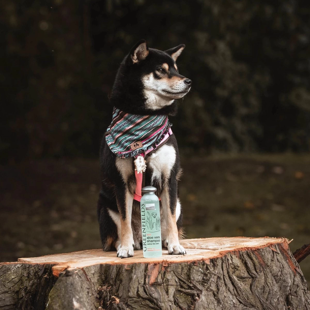 Greenfields - Krachtige Hondenshampoo Met Aloe Vera - Inhoud 270 Ml Of 5 L - 270 Ml 4 Greenfields - Krachtige Hondenshampoo Met Aloe Vera - Inhoud 270 Ml Of 5 L - 270 Ml - Afbeelding 2