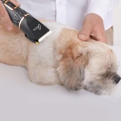 Tjilla Professionele Dieren/honden Tondeuse Set Extra Krachtig - Honden Trimmer - Lang Of Kortharige Huisdieren Katten & Honden - Draadloos - Weinig Geluid -Katten Hondenbenodigdheden Winkel 1200x1200 494