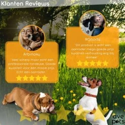 AVE Pets® Complete Hondentondeuse Set - Draadloos Tondeuse - Scheerapparaat Voor Je Hond Of Kat - Huisdier Trimmer - Professionele Dierentondeuse - Dieren Verzorging -Katten Hondenbenodigdheden Winkel 1200x1200 506