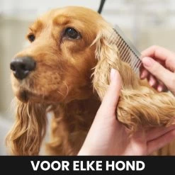 Hondentondeuse - Honden & Katten - Trimmer - Geluidsloos 12 Hondentondeuse - Honden & Katten - Trimmer - Geluidsloos -Katten Hondenbenodigdheden Winkel 1200x1200 512