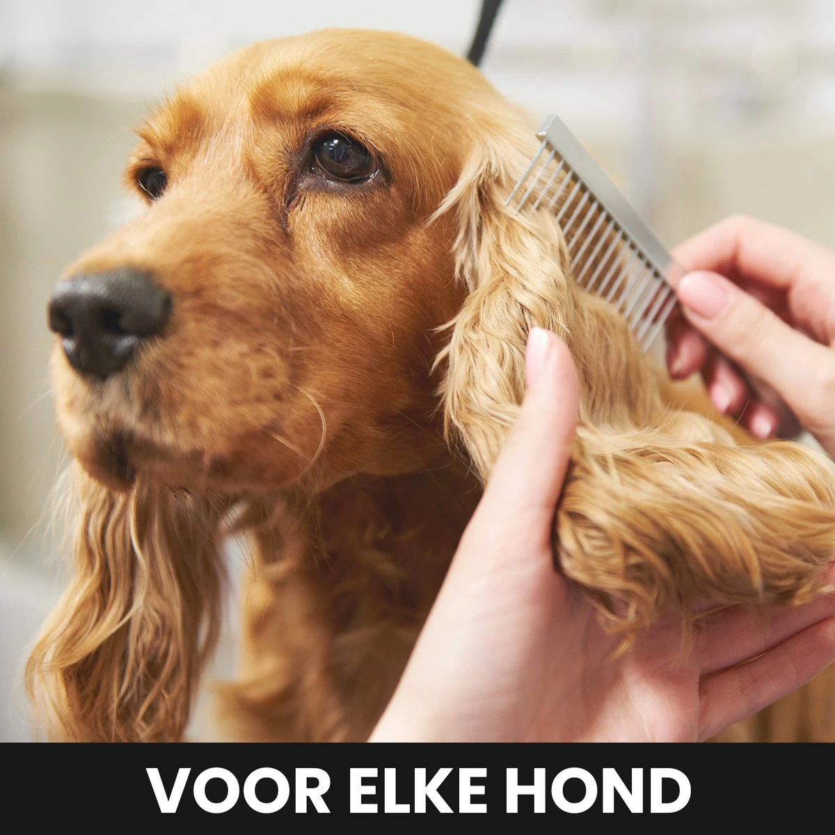 Hondentondeuse - Honden & Katten - Trimmer - Geluidsloos 5 Hondentondeuse - Honden & Katten - Trimmer - Geluidsloos - Afbeelding 3