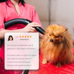Qumax Professionele Hondenföhn Met 4 Opzetstukken – Waterblazer Voor Honden – Stil Design – Compact En Modern - Zwart -Katten Hondenbenodigdheden Winkel 1200x1200 520