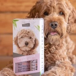 Greenfields Labradoodle Vacht Verzorgingsset - Shampoo En Anti-Klit Spray Voor Langharige Of Krullende Vacht -Katten Hondenbenodigdheden Winkel 1200x1200 537