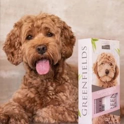 Greenfields Labradoodle Vacht Verzorgingsset - Shampoo En Anti-Klit Spray Voor Langharige Of Krullende Vacht -Katten Hondenbenodigdheden Winkel 1200x1200 538